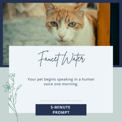 5-Minute Writing Prompt: Faucet Water