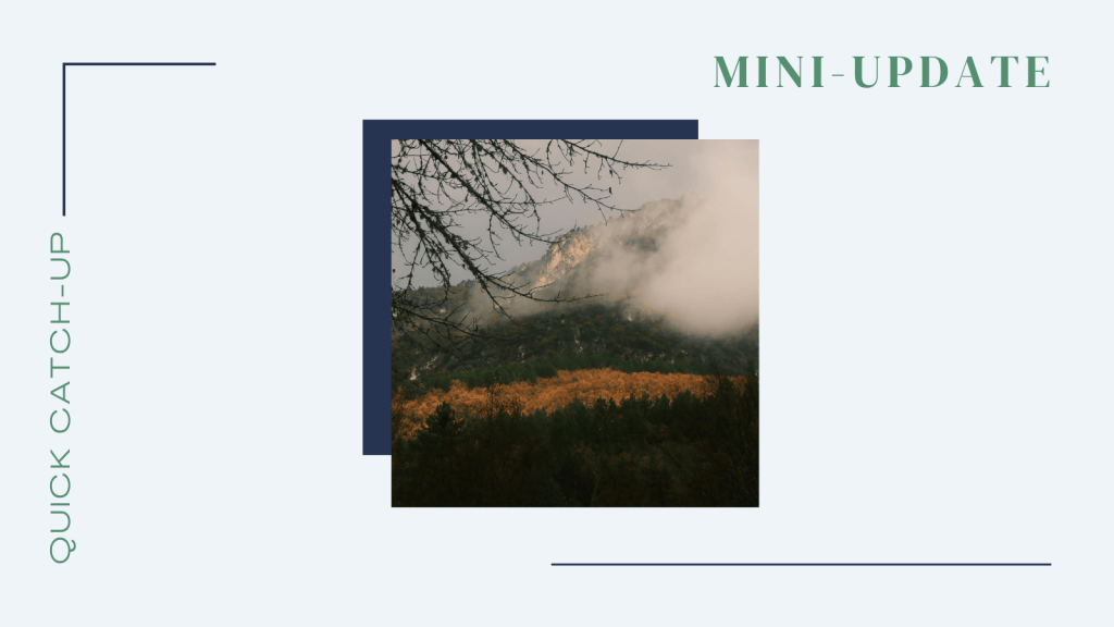 Quick Catch-up: What You Missed & What’s&nbsp;Next
